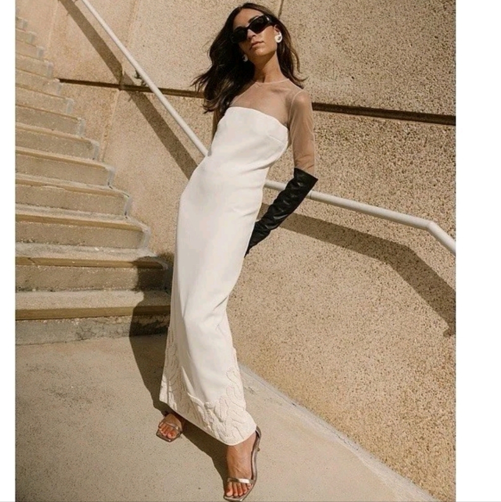 Antonio Melani x Elizabeth Damrich NWT Babe Mesh Crepe Soutache LONG Dress 4